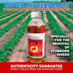 Herbicide Glufosinate 10% SL, Herbicide post-levée à large spectre pour terres agricoles