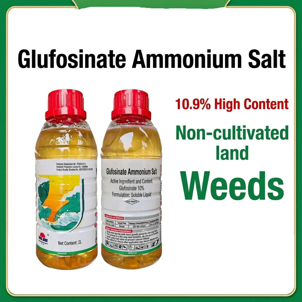 Herbicide Glufosinate 10% SL à action rapide, Herbicide à brûlage rapide pour graminées résistantes et mauvaises herbes à feuilles larges