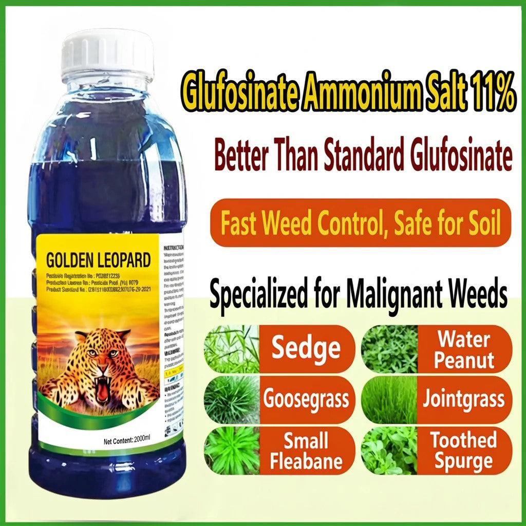 Herbicide Glufosinate Ammonium 10% SL, Herbicide non sélectif contre graminées et mauvaises herbes à feuilles larges