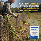 Herbicide Glyphosate Triclopyr 70 % pour le contrôle des mauvaises herbes non agricoles 100 g Gestion systémique des mauvaises herbes