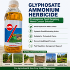 Concentré d'herbicide à l'ammonium de glyphosate pour le contrôle des mauvaises herbes en verger et en agriculture, formule systémique éliminant les racines