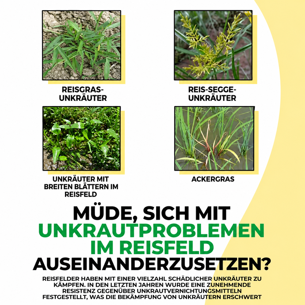 Concentré d'herbicide au glyphosate pour un contrôle efficace des mauvaises herbes - Désherbant systémique pour l'agriculture, le jardin et l'entretien des terrains (Jaune)