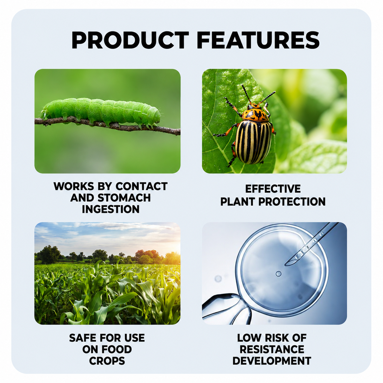 Abamectine 1,8 % EC – Insecticide et miticide pour légumes, fruits et plantes ornementales