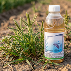 Herbicide au glyphosate d'ammonium 15 % pour le contrôle des herbes et des mauvaises herbes | Gestion systémique non sélective des mauvaises herbes