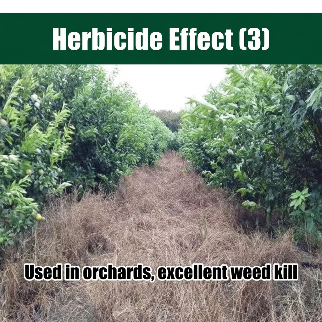 Herbicide Glufosinate Ammonium 10%, Herbicide puissant contre l'herbe résistante