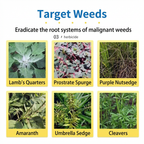 Herbicide Glufosinate Ammonium 20% SL, Herbicide post-levée à action rapide pour vergers, champs et terres non cultivées