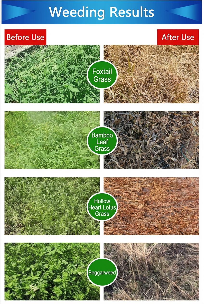Herbicide Glufosinate 10% SL à action rapide, Herbicide à brûlage rapide pour graminées résistantes et mauvaises herbes à feuilles larges