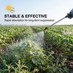 Herbicide Glyphosate Trichloropyridinyl 60 % pour le contrôle des mauvaises herbes de la vigne et des arbustes 100 g | Gestion systémique des mauvaises herbes