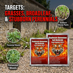 Sel de glyphosate 88,8 % Herbicide à haute concentration pour le contrôle des mauvaises herbes et des racines | Gestion systémique des mauvaises herbes