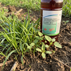 Herbicide glyphosate 50 % pour le contrôle des mauvaises herbes avant germination | Gestion systémique des mauvaises herbes pour les cultures de plein champ