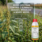 Sel d'isopropylamine de glyphosate 41 % Herbicide, solution de contrôle systémique des mauvaises herbes à large spectre