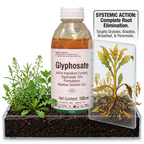 Herbicide au glyphosate pour un contrôle puissant des mauvaises herbes et des racines | Gestion systémique des mauvaises herbes à large spectre