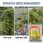 Herbicide Glyphosate Trichloropyridinyl 60 % pour le contrôle des mauvaises herbes de la vigne et des arbustes 100 g | Gestion systémique des mauvaises herbes