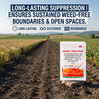 Herbicide au glyphosate 60 % pour le contrôle des mauvaises herbes en zones non cultivées | Gestion systémique des mauvaises herbes et des plantes ligneuses