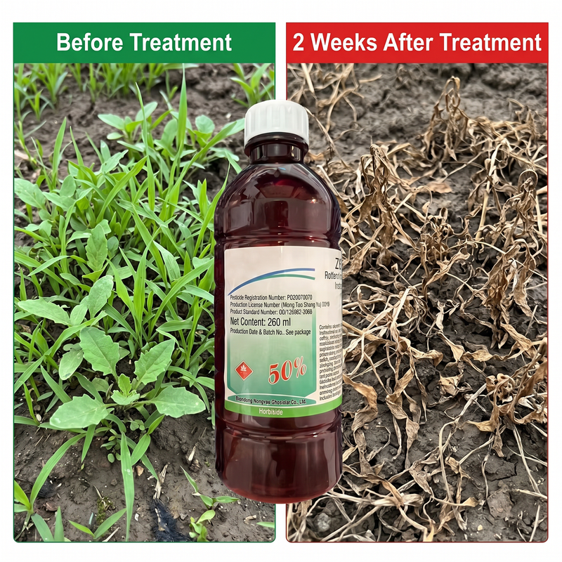 Herbicide glyphosate 50 % pour le contrôle des mauvaises herbes avant germination | Gestion systémique des mauvaises herbes pour les cultures de plein champ