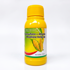 Herbicide SC Nicosulfuron 20 % + Atrazine 6 % + Mesotrione 4 %, désherbage sélectif du maïs en champ