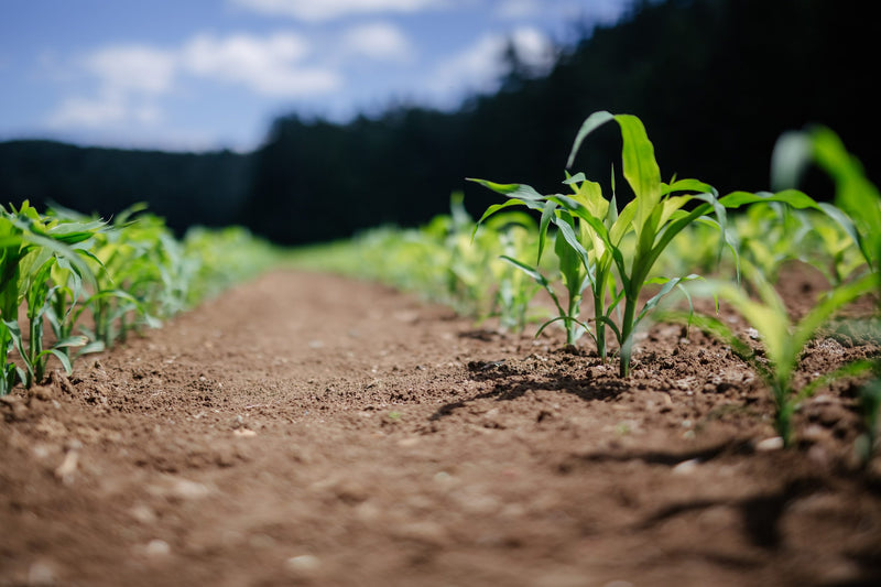 Zero Soil Residual