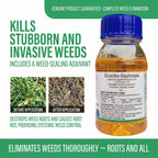 Herbicide Dicamba 2 % + Glyphosate 30 % pour le contrôle des mauvaises herbes à feuilles larges et des graminées dans les champs agricoles