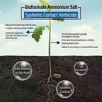 Herbicide Glufosinate Ammonium 10% SL, Herbicide non sélectif contre graminées et mauvaises herbes à feuilles larges